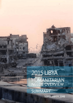 libya_hno_summary_final_english (English)
