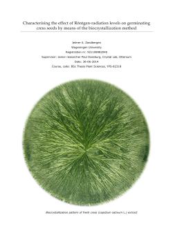 pdf thesis 2.9Mb - Crystal-lab