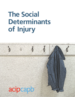 The Social Determinants of Injury