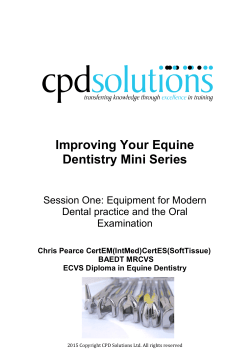 Improving Your Equine Dentistry Mini Series