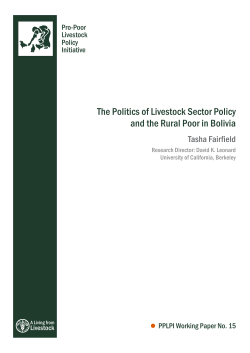 The Politics of Livestock Sector Policy and the Rural Poor in Bolivia