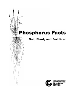 Phosphorus Facts - K-State Agronomy