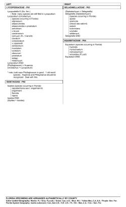 LEFT RIGHT FLORIDA SPECIMENS ARE ARRANGED