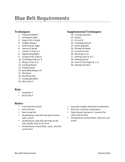 Blue Belt Requirements - Stanford Kenpo Karate