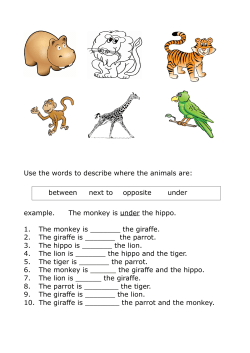 Use the words to describe where the animals are: example. The