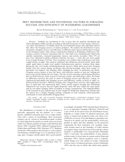 prey distribution and patchiness: factors in foraging success and