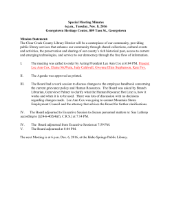 DLB Special Meeting Minutes 2016-11-08