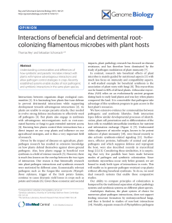 Interactions of beneficial and detrimental root