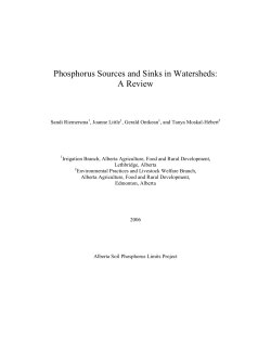 Phosphorus sources and sinks in watersheds: A review