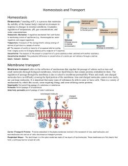 Homeostasis and Transport Homeostasis Membrane transport