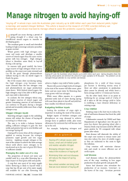 Manage nitrogen to avoid haying-off