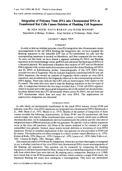 Integration of Polyoma Virus DNA into Chromosomal DNA in