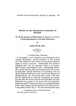 Studies on the Comparative Anatomy of Sponges. VI. On the