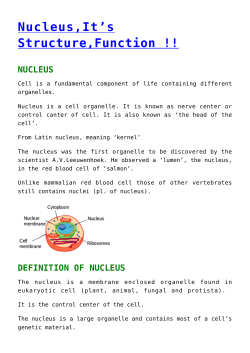 nucleus - Biology Notes Help