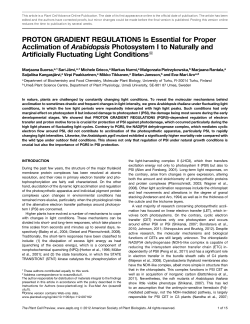 PROTON GRADIENT REGULATION5 Is Essential