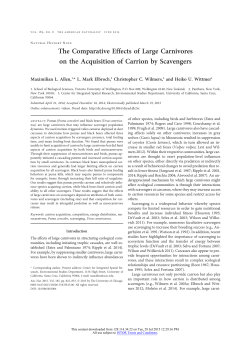 The Comparative Effects of Large Carnivores on the