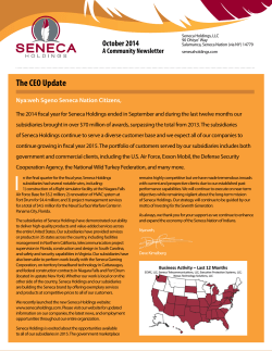 The CEO Update - Seneca Holdings