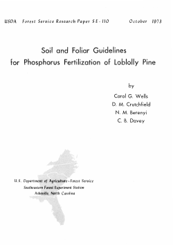 Soil and FoIiar Guidelines for Phosphorus Fertilization of lob loll^ Pine