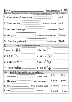 busy buzzy bee skill sheets letter