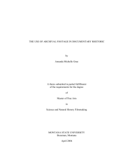 THE USE OF ARCHIVAL FOOTAGE IN