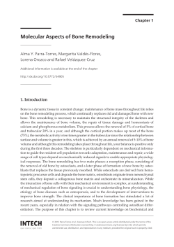 Molecular Aspects of Bone Remodeling