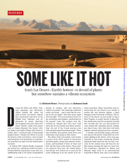 Iran`s Lut Desert&mdash;Earth`s hottest&mdash;is devoid of plants but somehow