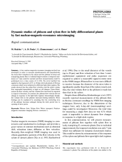 Dynamic studies of phloem and xylem flow in fully