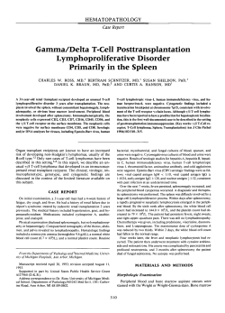 Gamma/Delta T-Cell Posttransplantation Lymphoproliferative