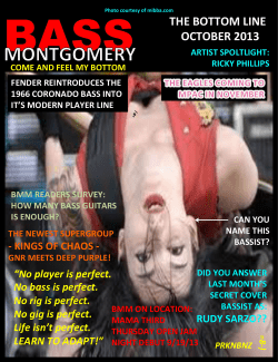 BASS THE BOTTOM LINE OCTOBER 2013
