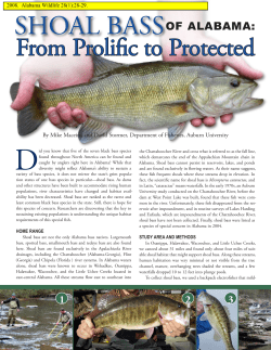 SHOAl BAss Of AlAbAmA