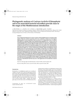Phylogenetic analyses of Caulerpa taxifolia
