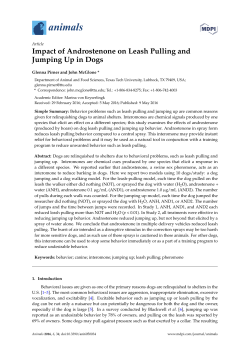 Impact of Androstenone on Leash Pulling and Jumping Up in Dogs