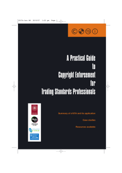 A Practical Guide to Copyright Enforcement for Trading Standards