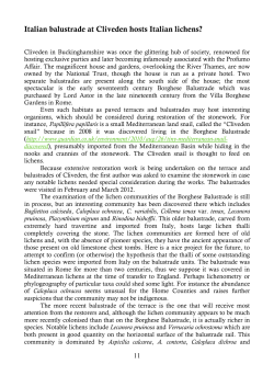 Italian balustrade at Cliveden hosts Italian lichens?