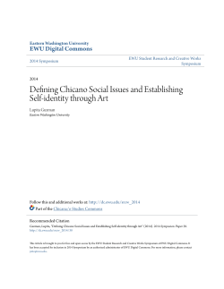 Defining Chicano Social Issues and Establishing Self