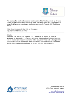 Is stimulation of leaf photosynthesis by elevated carbon dioxide