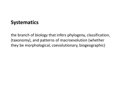 Evolutionary Trees - New Mexico State University