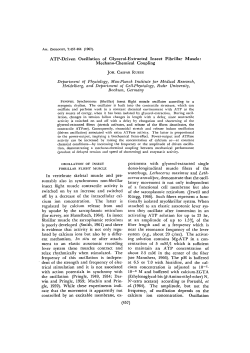 ATP-Driven Oscillation of Glycerol-Extracted Insect Fibrillar Muscle