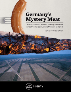 Germany`s Mystery Meat