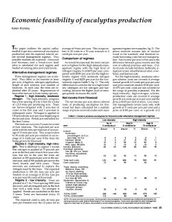 Economic feasibility of eucalyptus production