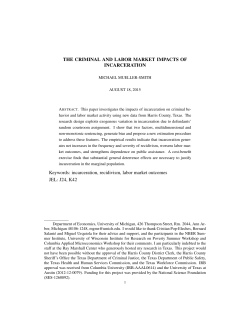 THE CRIMINAL AND LABOR MARKET IMPACTS OF