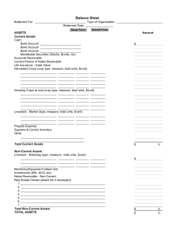 Balance Sheet