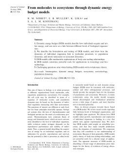 From molecules to ecosystems through dynamic energy budget