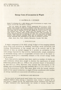 Energy Costs of Locomotion in Wapiti