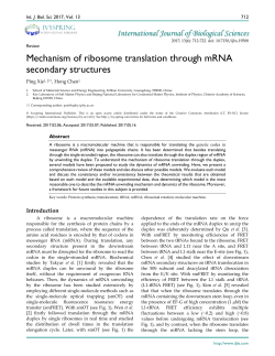 Mechanism of ribosome translation through mRNA secondary