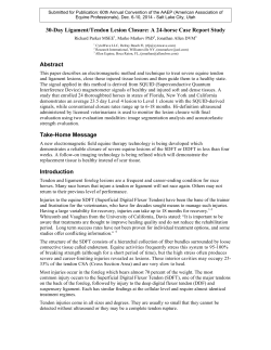 30-Day Ligament/Tendon Lesion Closure: A 24