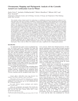 Chromosome Mapping and Phylogenetic Analysis of the Cytosolic
