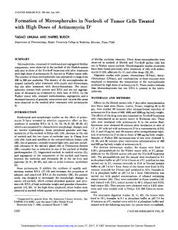 Formation of Microspherules in Nucleoli of