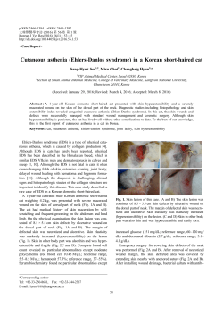 Cutaneous asthenia (Ehlers-Danlos syndrome) in a Korean short