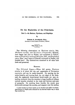 On the Nephridia of the Polychseta. Fart I,&mdash;On Hesione, Tyrrhena